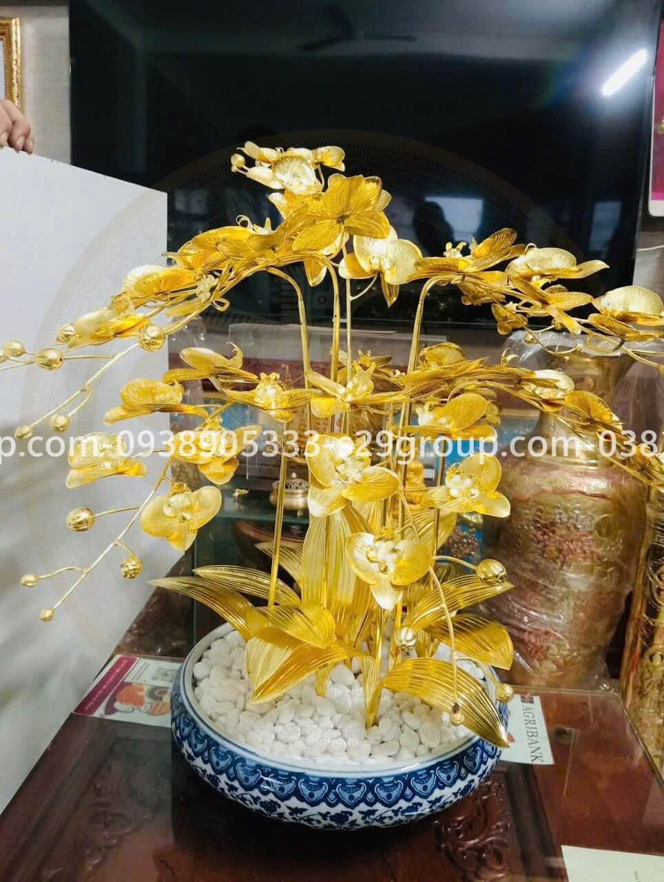 chậu lan hồ điệp bằng đồng